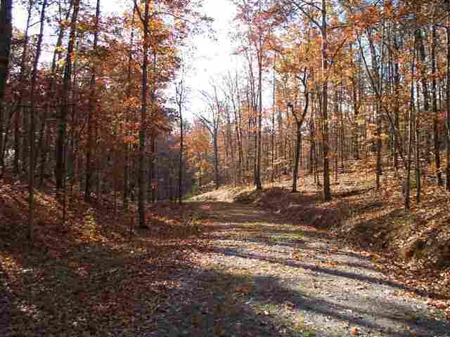 60-acres Euchee Chapel Road Spring City, TN 37381 - Photo 8 of 21 9