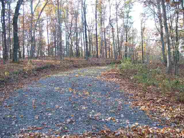 60-acres Euchee Chapel Road Spring City, TN 37381 - Photo 9 of 21 10