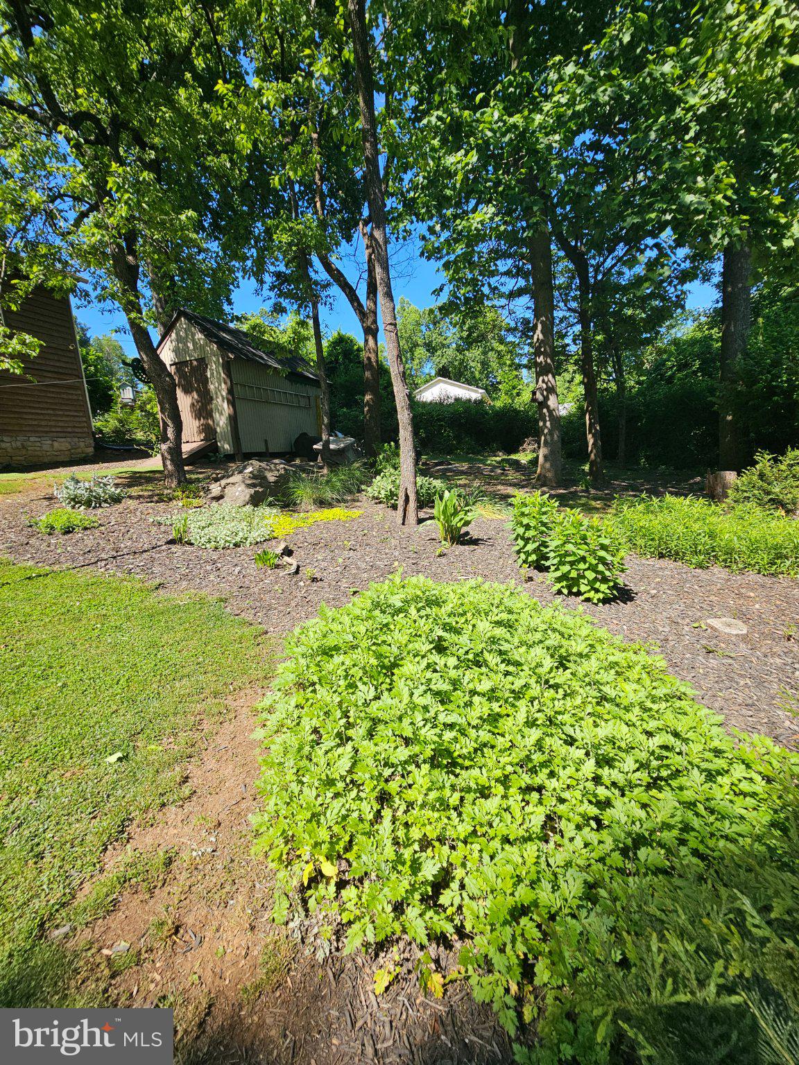 32 Parnassus Road Linden, VA 22642 - Photo 45 of 50 Lush greenery in a serene garden.