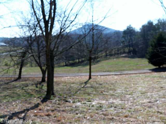 410 Wiley Royal Road Elkin, NC 28621 - Photo 8 of 12 View.
