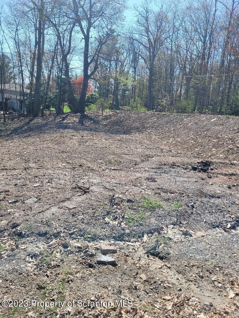 421 Center Street Dickson City, PA 18508 - Photo 2 of 5 a view of a backyard with large trees