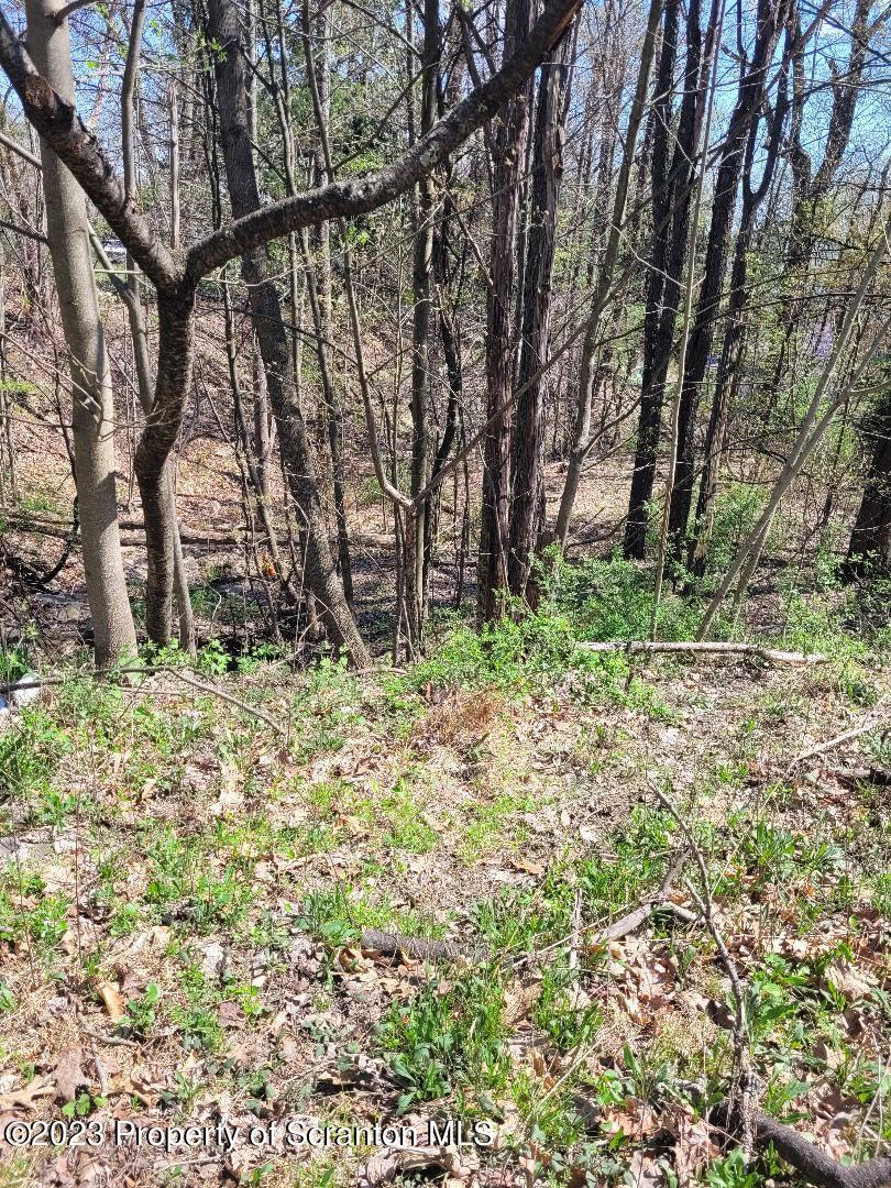 421 Center Street Dickson City, PA 18508 - Photo 3 of 5 a backyard of a house with lots of green space