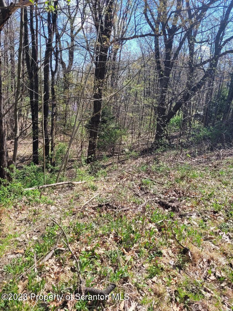 421 Center Street Dickson City, PA 18508 - Photo 4 of 5 a backyard of a house with lots of green space