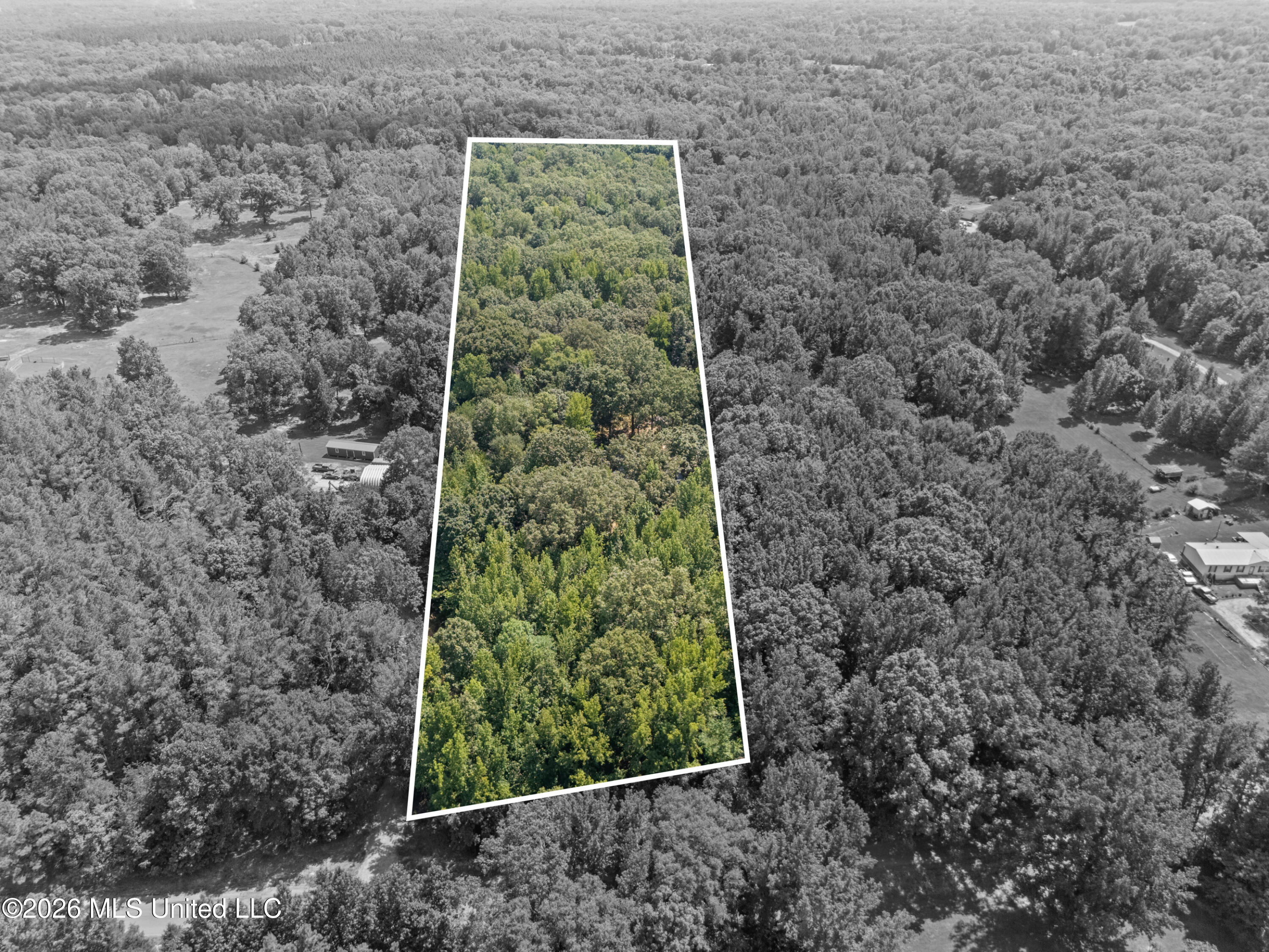 2500 Mays Road Coldwater, MS 38618 - Photo 4 of 32 Aerial View Property Lines
