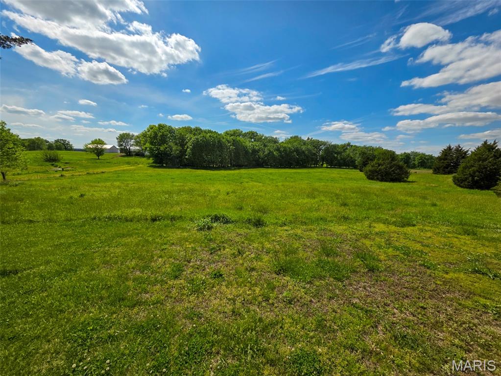 105 Roy Road Vergennes, IL 62994 - Photo 8 of 13 Gallery Image 8