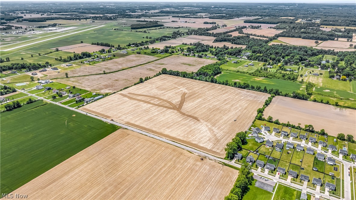 Fowl Road Elyria, OH 44035 - Photo 9 of 10 Expansive agricultural fields with varied crop stages, bordered by a paved road