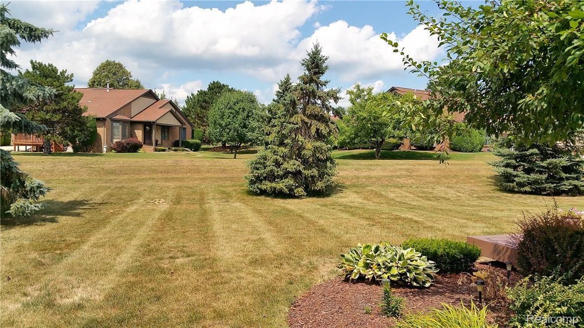 1533 Colony Drive Rochester, MI 48307 - Photo 26 of 29 back yard.jpg