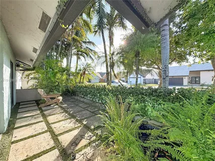 a view of backyard with a large tree