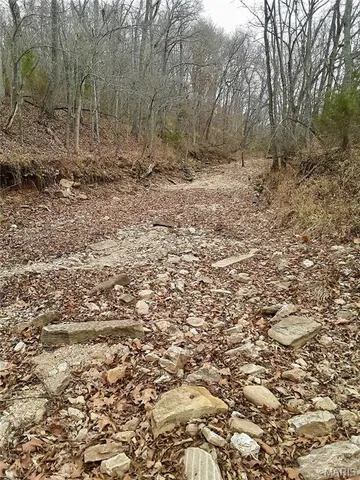 $299,900 | 3662 Lick Creek Road, Leasburg, MO 65535