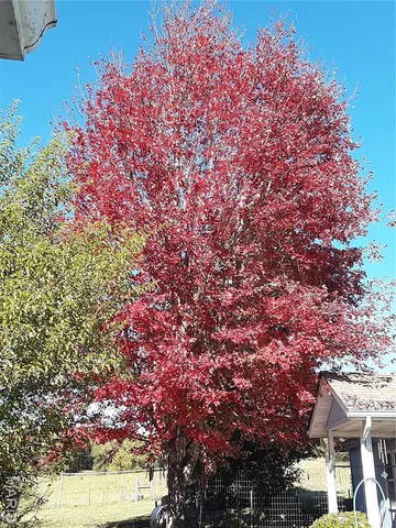 $299,900 | 3662 Lick Creek Road, Leasburg, MO 65535