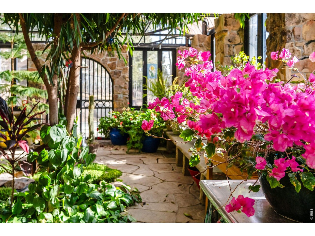 7321 Flagstaff Road Boulder, CO 80302 - Photo 31 of 50 Inside greenhouse