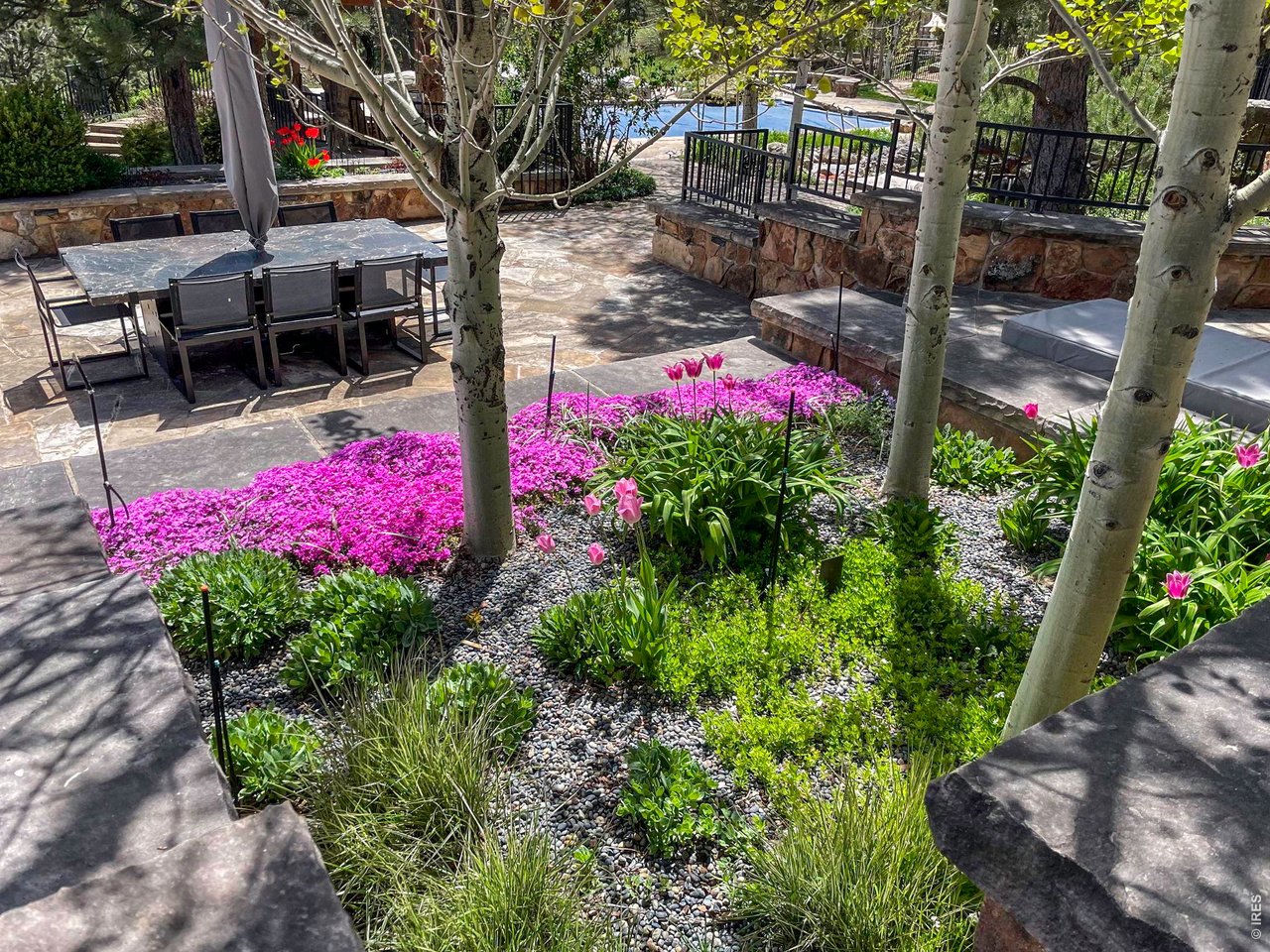 7321 Flagstaff Road Boulder, CO 80302 - Photo 39 of 50 Spring flowers