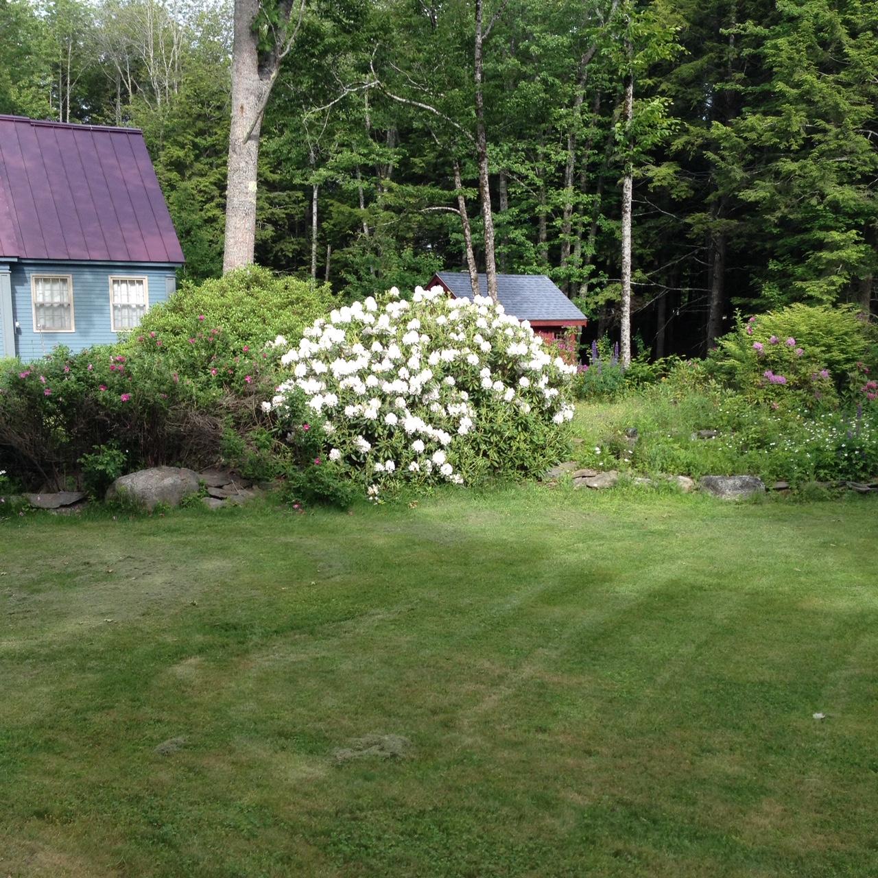 904 Bristol Road Bristol, ME 04539 - Photo 46 of 46 Gardens(3)