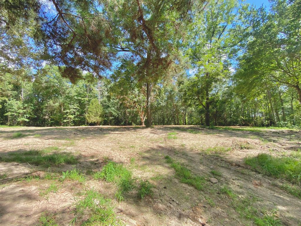 17134 State Highway 21 East  