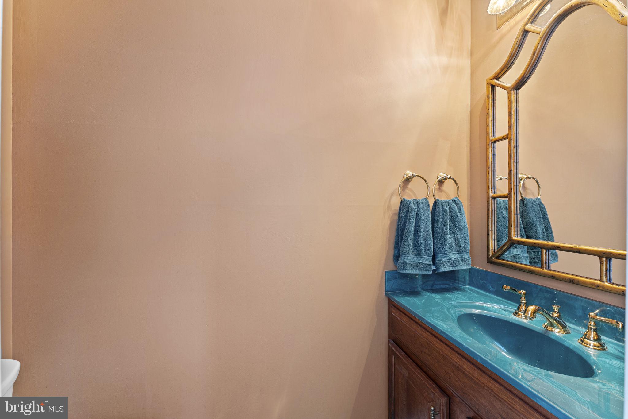 103 Carters Grove, Unit A3 Malvern, PA 19355 - Photo 25 of 41 a bathroom with a sink and a mirror