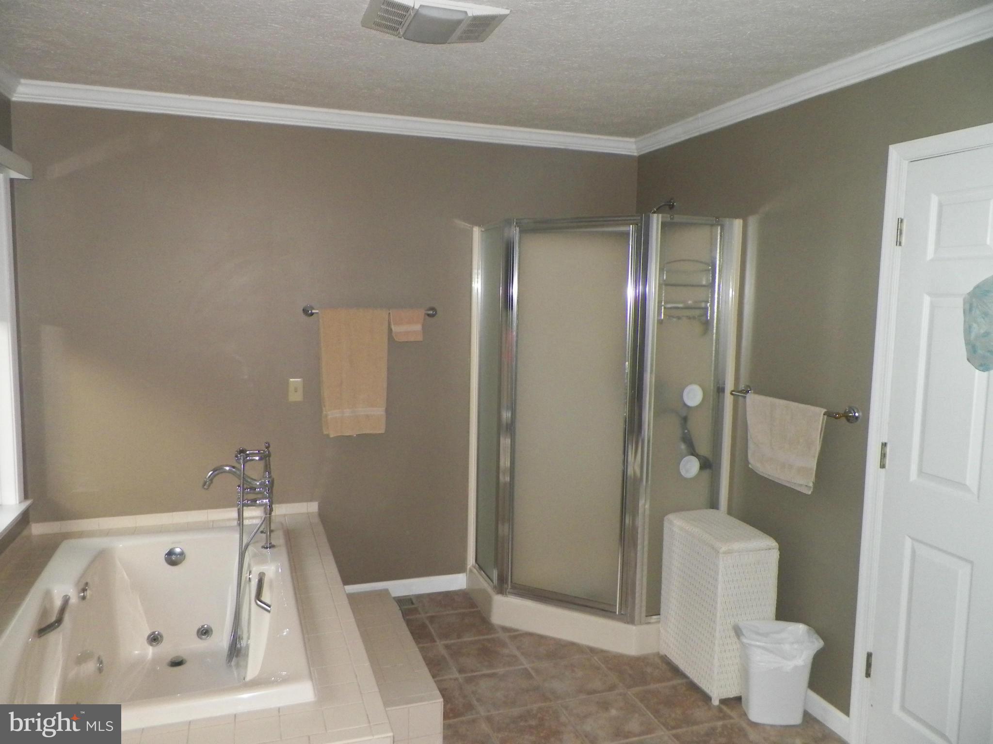 201 Minnick Road Inwood, WV 25428 - Photo 13 of 26 Bath (Master)