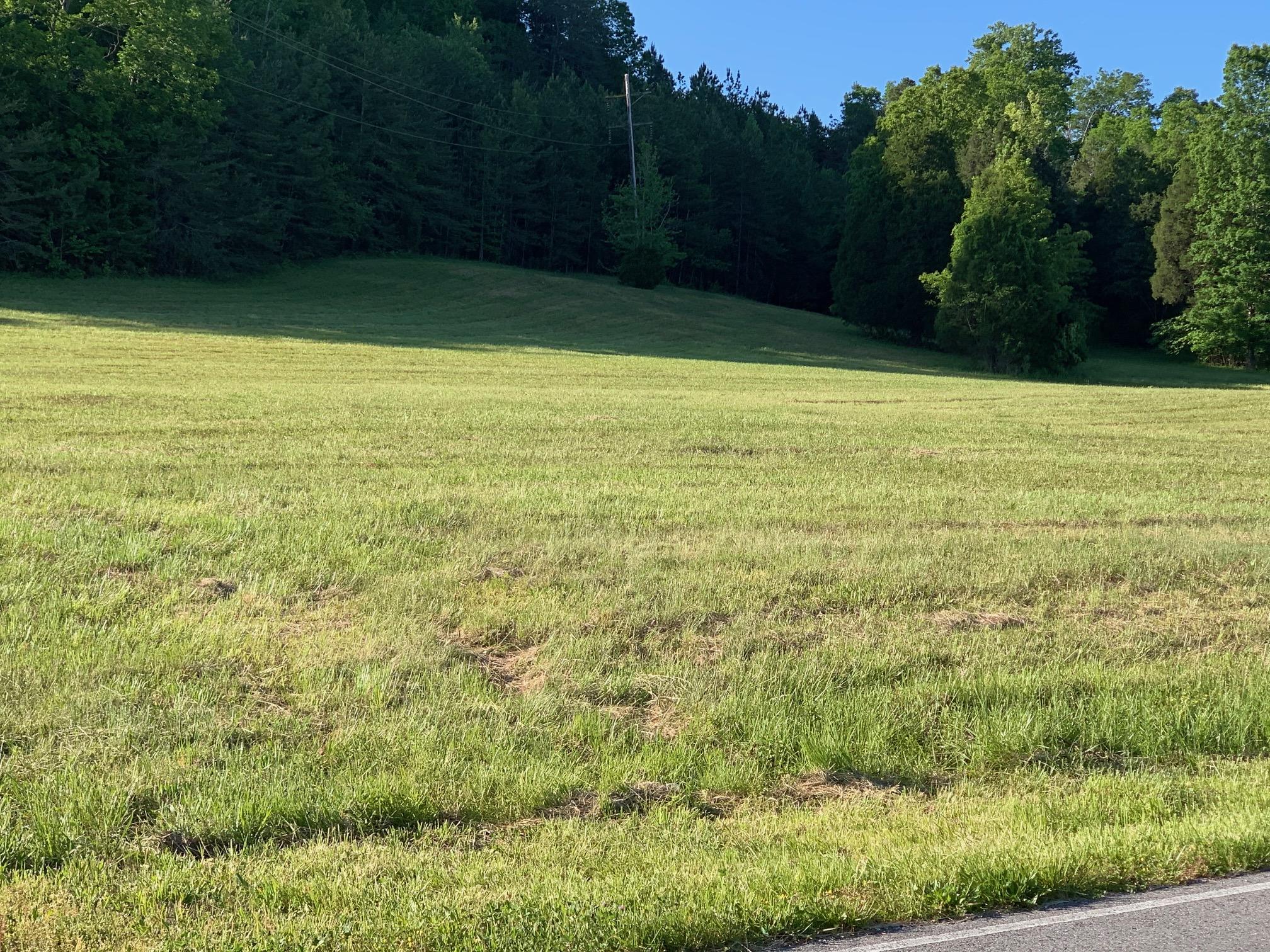 0 Wolf Creek Road Spring City, TN 37381 - Photo 1 of 10 IMG_0793