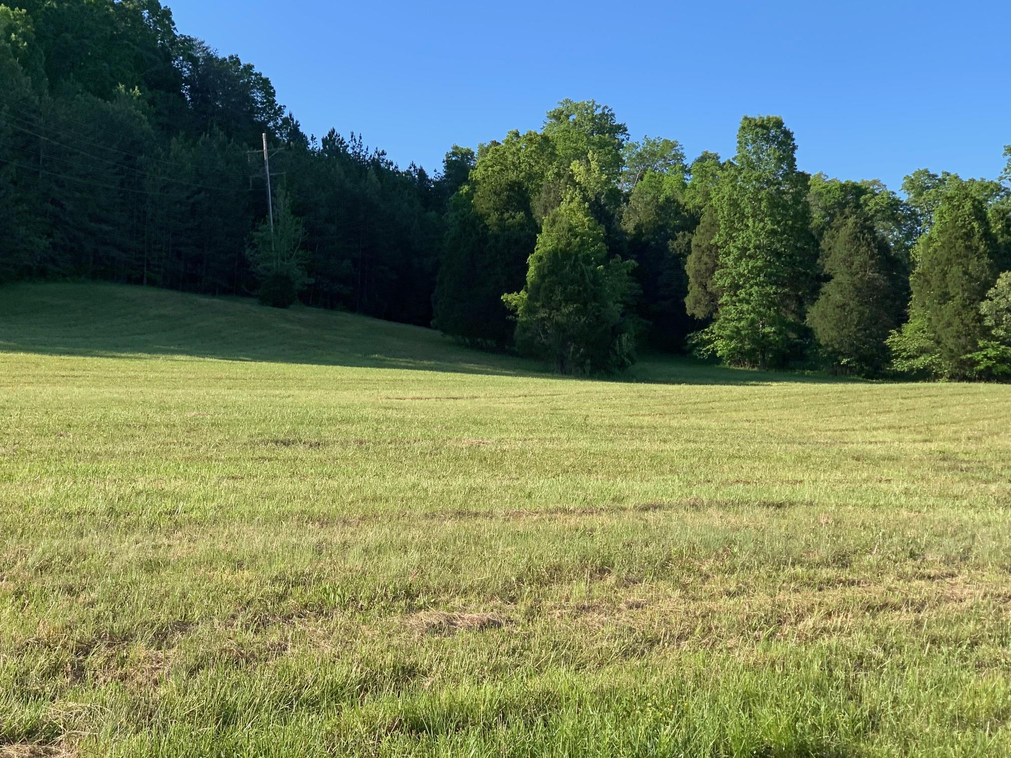 0 Wolf Creek Road Spring City, TN 37381 - Photo 4 of 10 IMG_0800