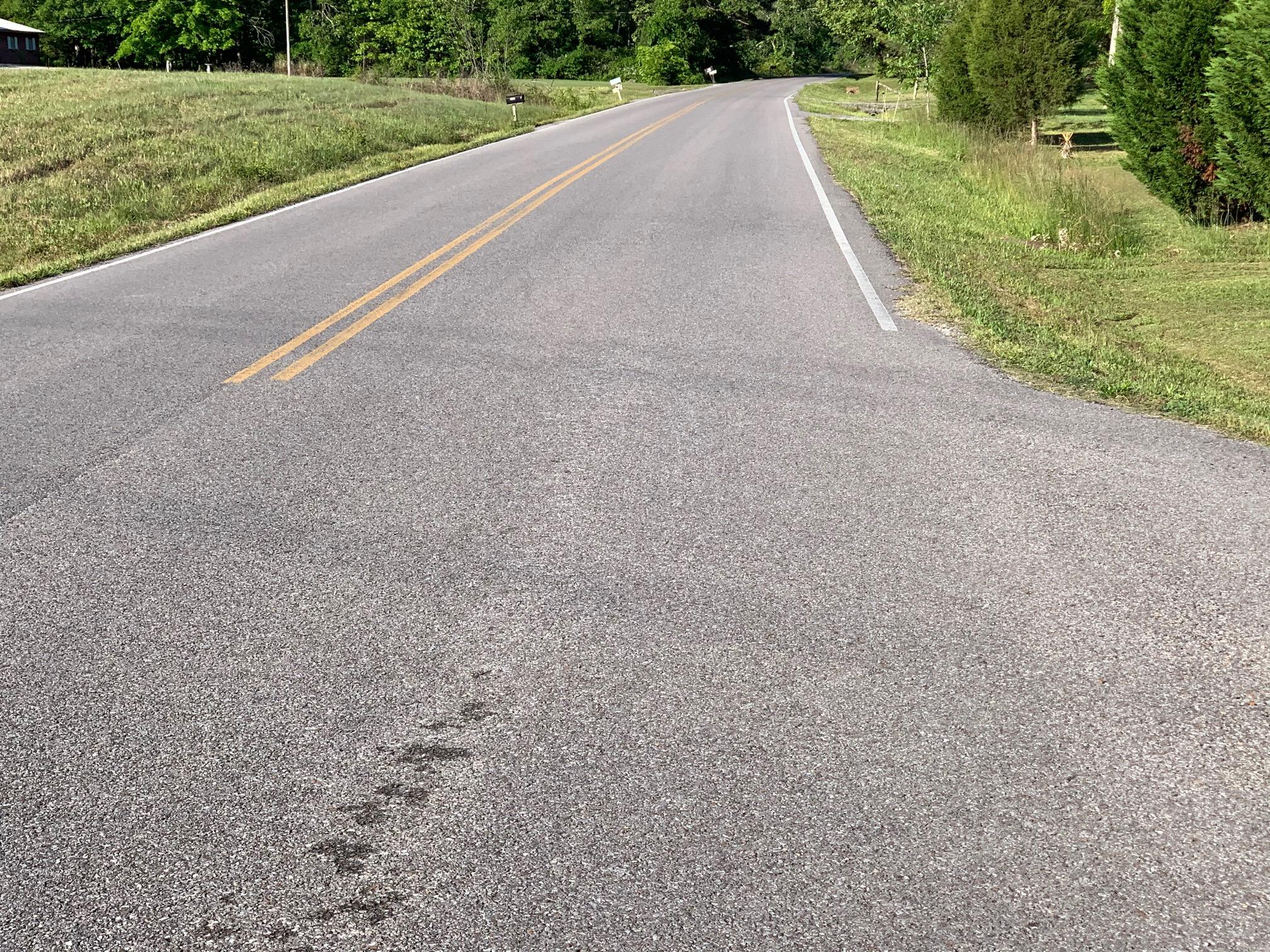 0 Wolf Creek Road Spring City, TN 37381 - Photo 5 of 10 IMG_0798