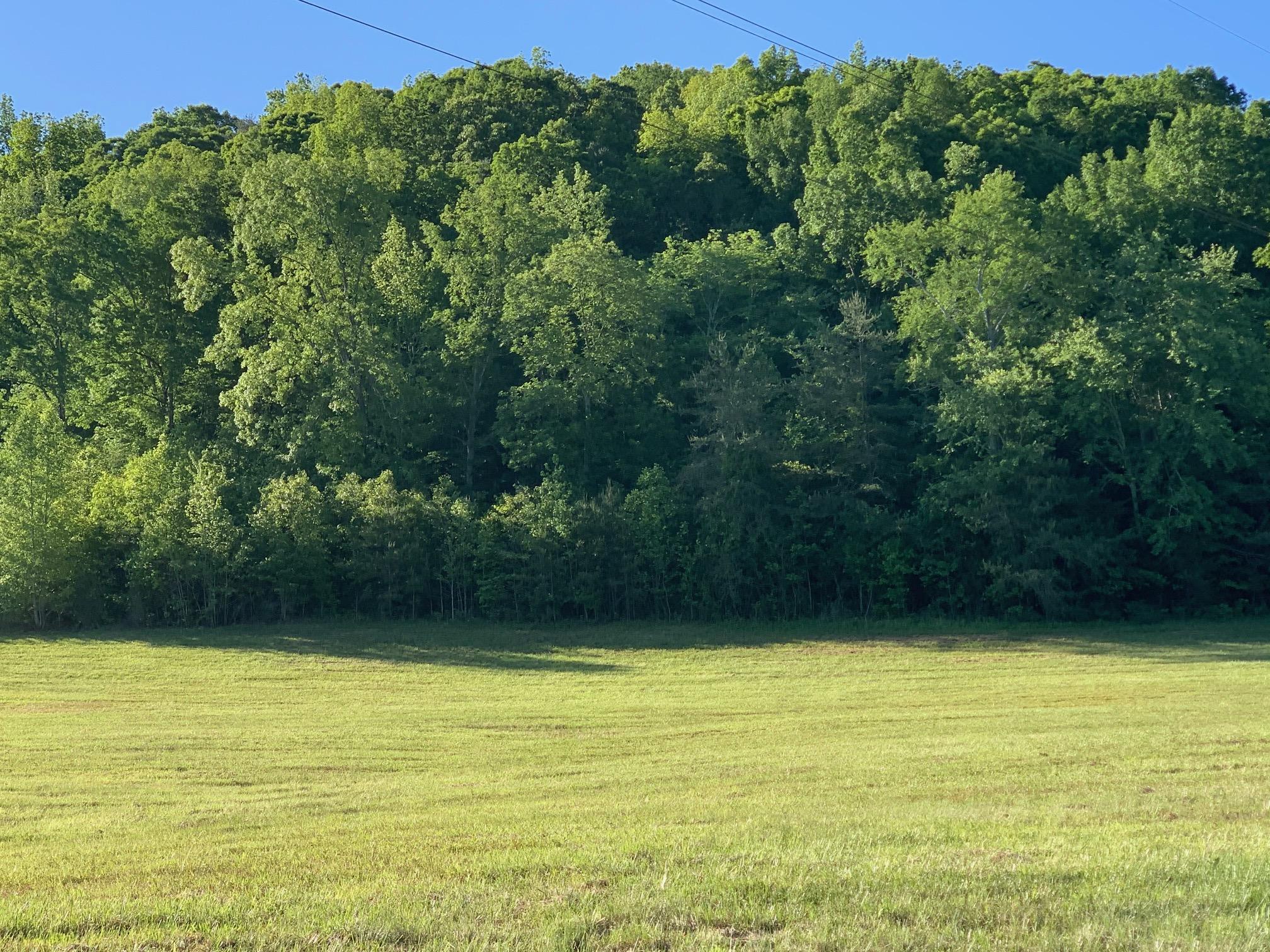 0 Wolf Creek Road Spring City, TN 37381 - Photo 8 of 10 IMG_0796