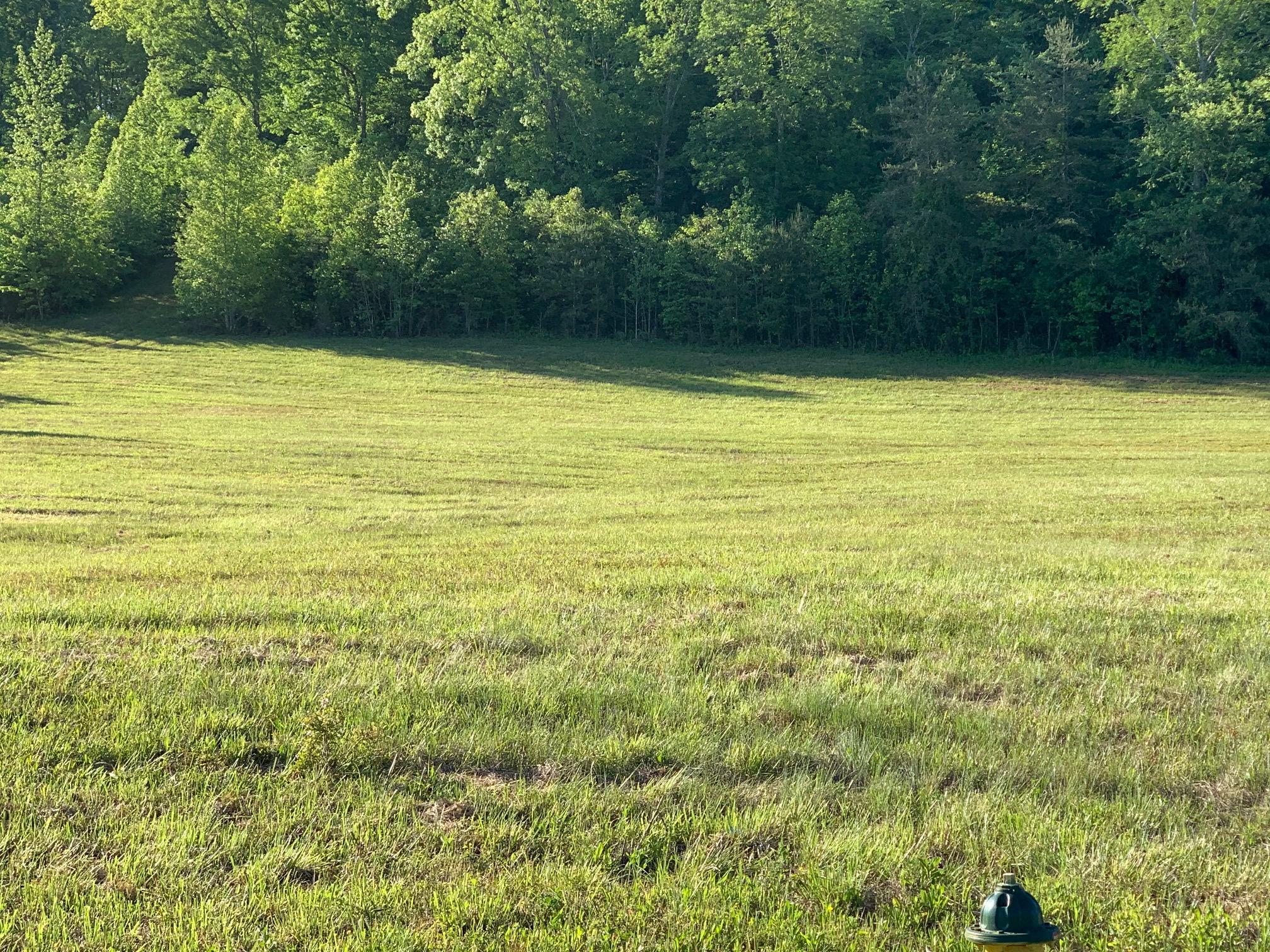 0 Wolf Creek Road Spring City, TN 37381 - Photo 10 of 10 IMG_0794