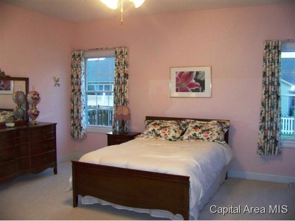 3917 Lear Drive Springfield, IL 62711 - Photo 13 of 19