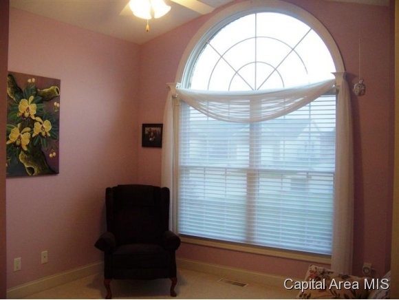 3917 Lear Drive Springfield, IL 62711 - Photo 15 of 19