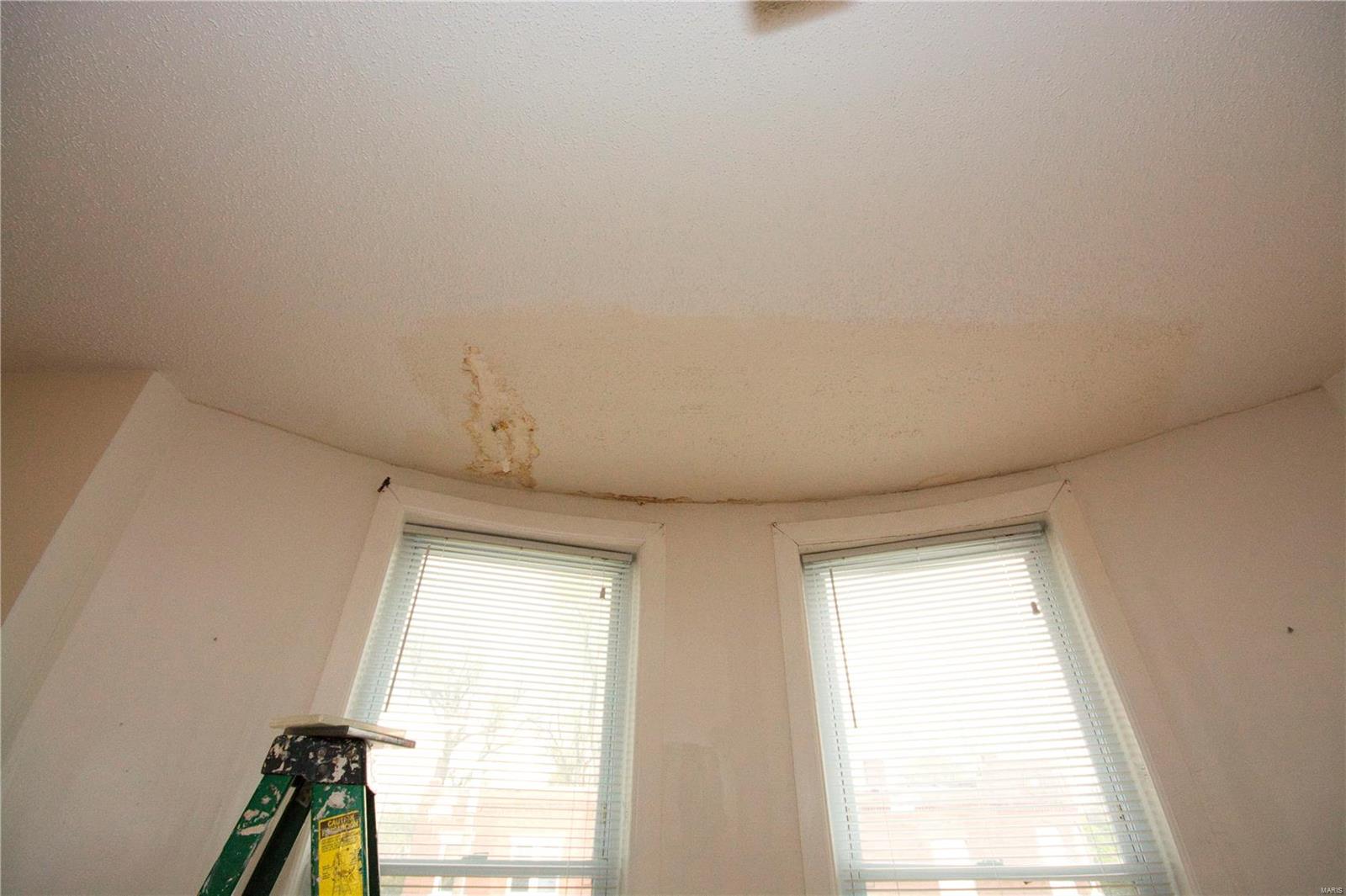 1009 Walton Avenue St. Louis, MO 63113 - Photo 9 of 33