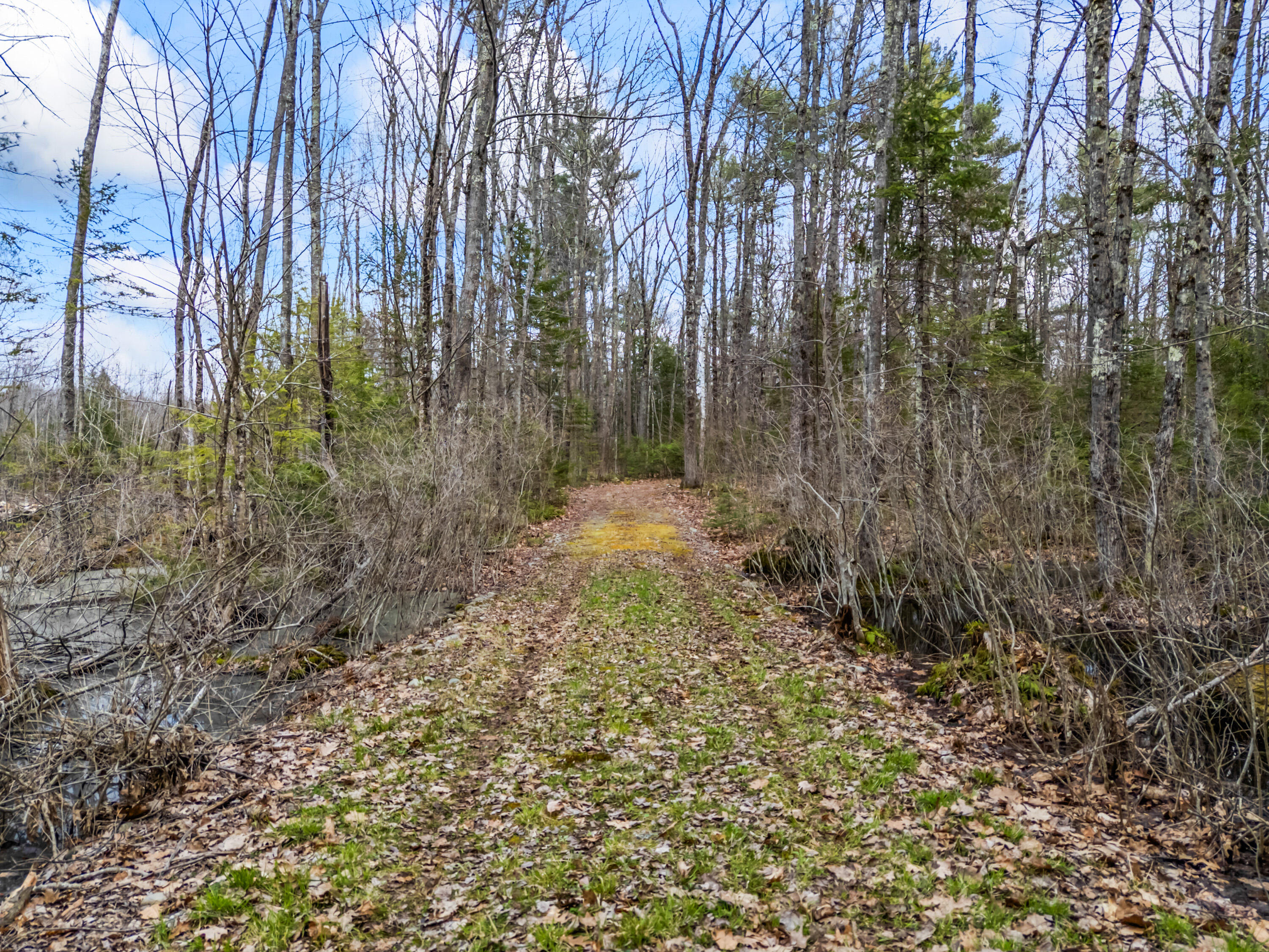 Tbd Brunswick Road Richmond, ME 04357 - Photo 11 of 27 Lot 35-2 Brunswick Road_109