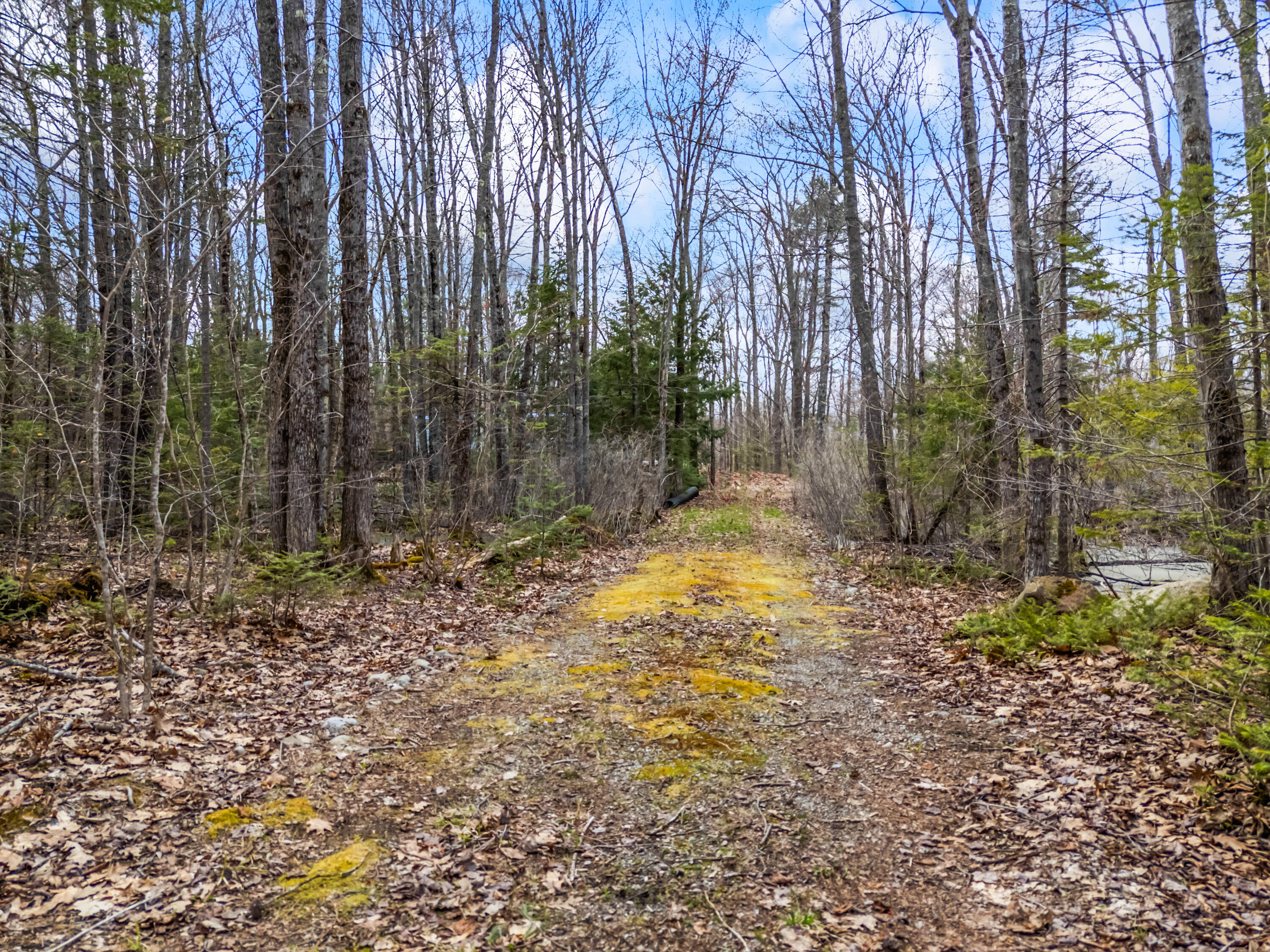 Tbd Brunswick Road Richmond, ME 04357 - Photo 12 of 27 Lot 35-2 Brunswick Road_110