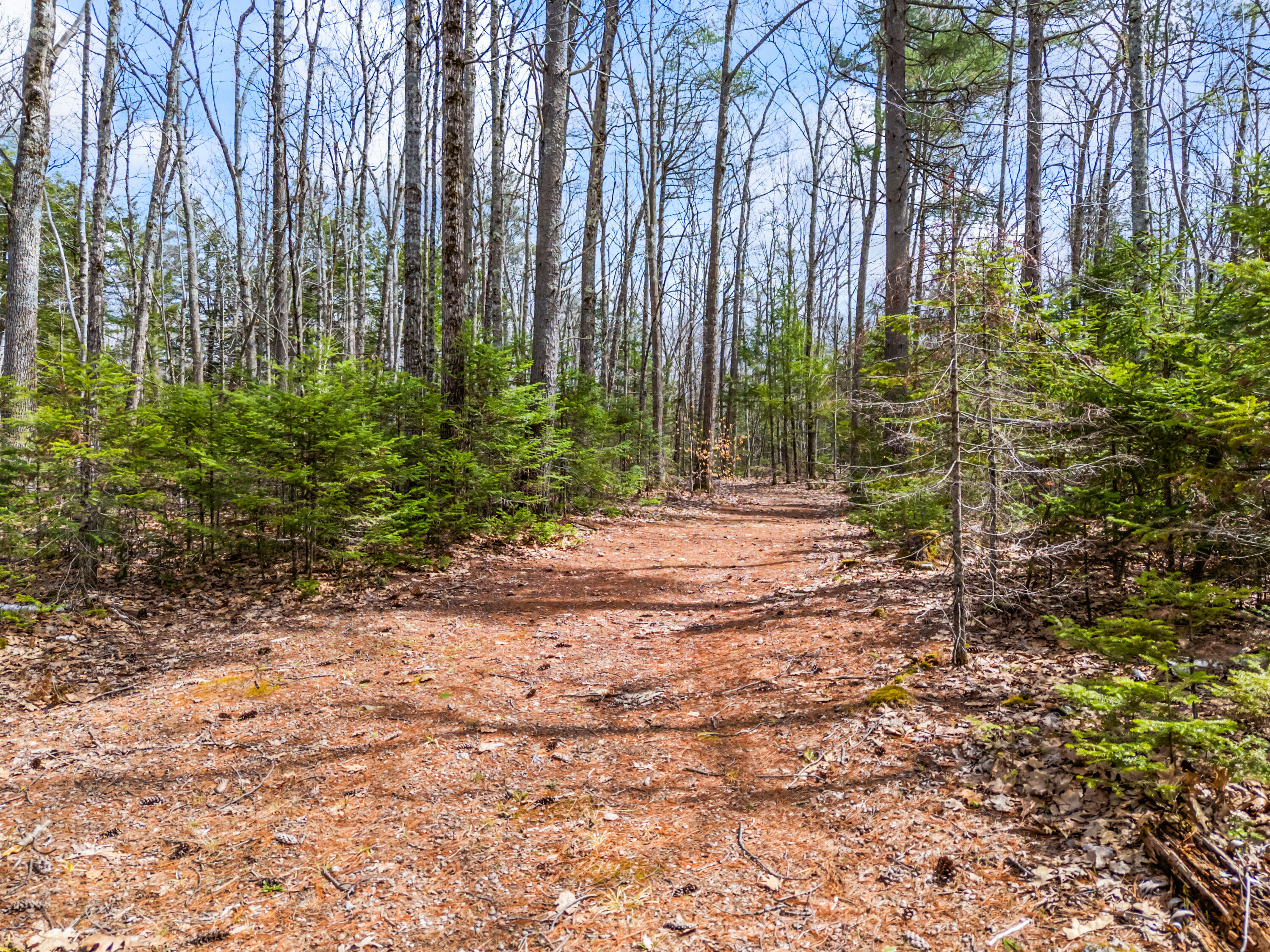 Tbd Brunswick Road Richmond, ME 04357 - Photo 13 of 27 Lot 35-2 Brunswick Road_111