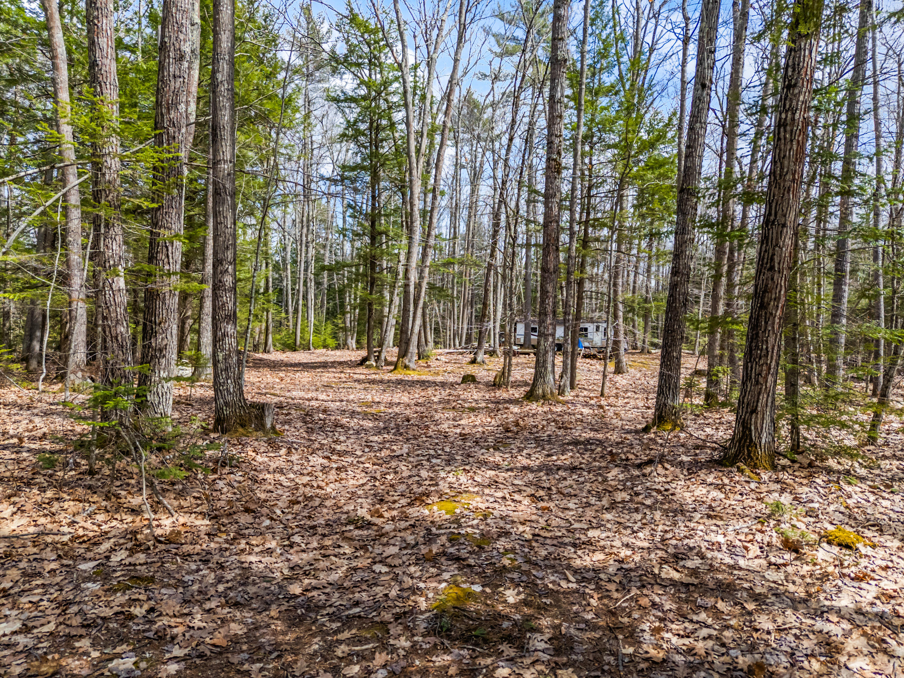 Tbd Brunswick Road Richmond, ME 04357 - Photo 14 of 27 Lot 35-2 Brunswick Road_113