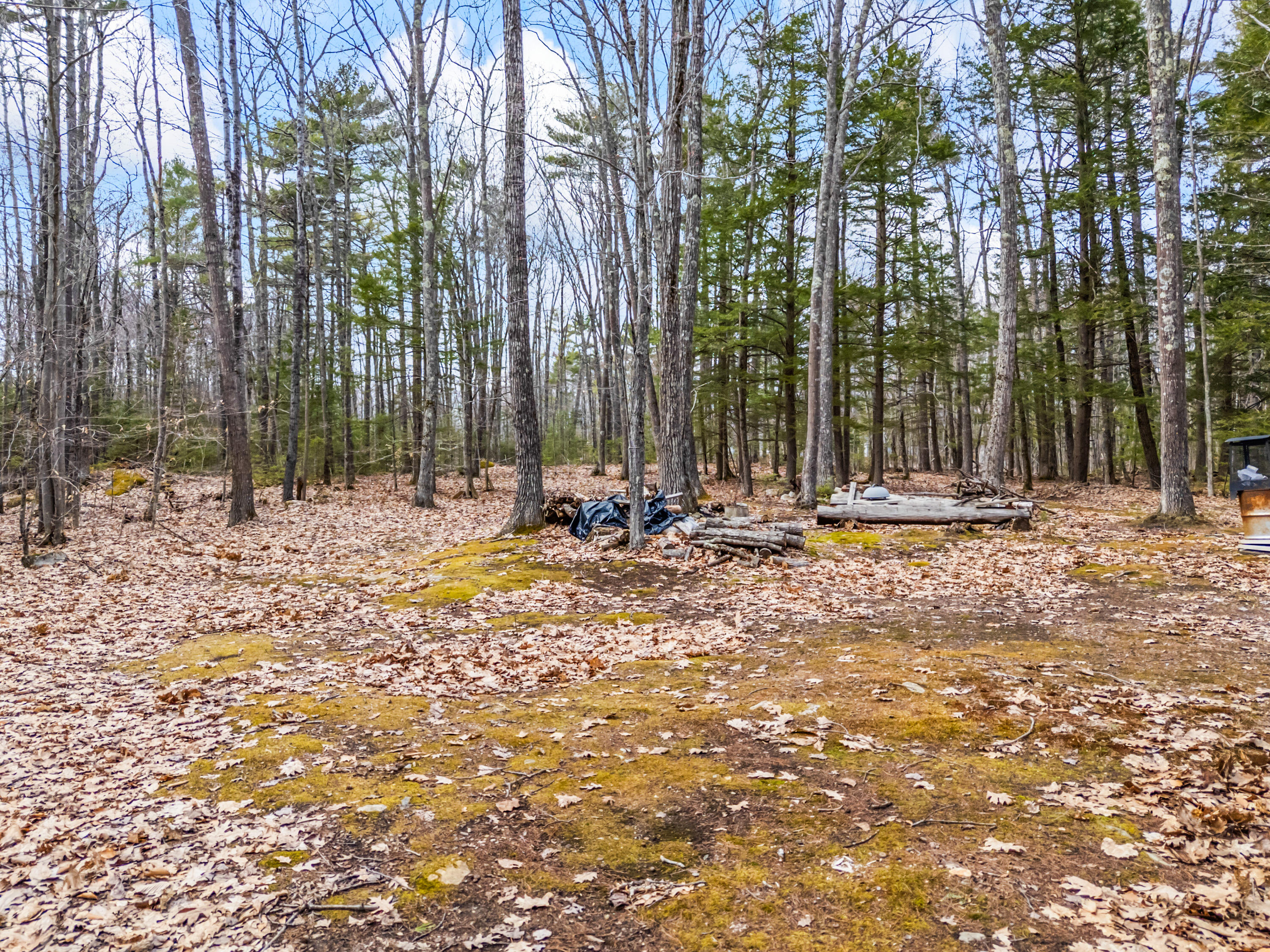 Tbd Brunswick Road Richmond, ME 04357 - Photo 19 of 27 Lot 35-2 Brunswick Road_117