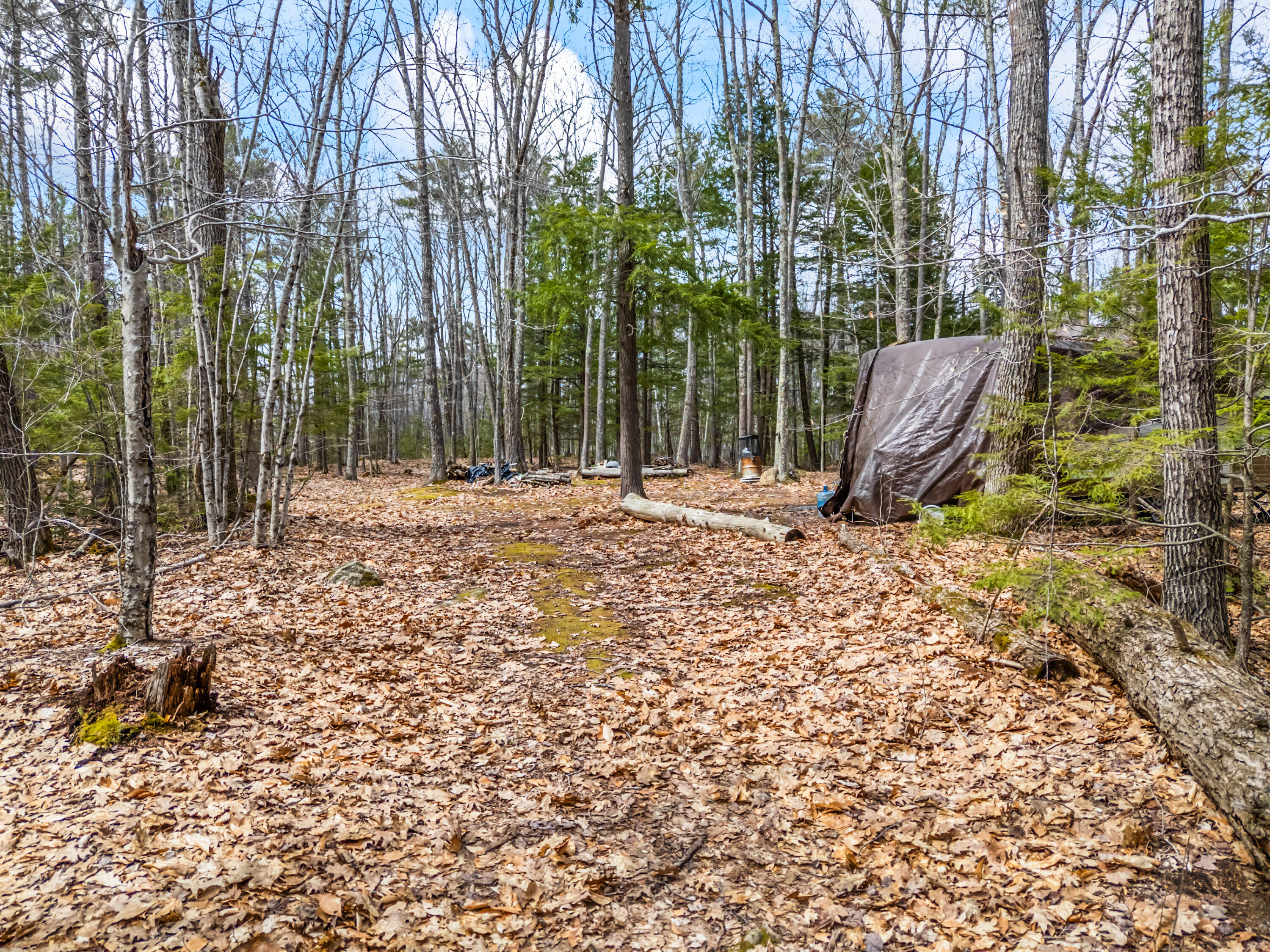 Tbd Brunswick Road Richmond, ME 04357 - Photo 20 of 27 Lot 35-2 Brunswick Road_122