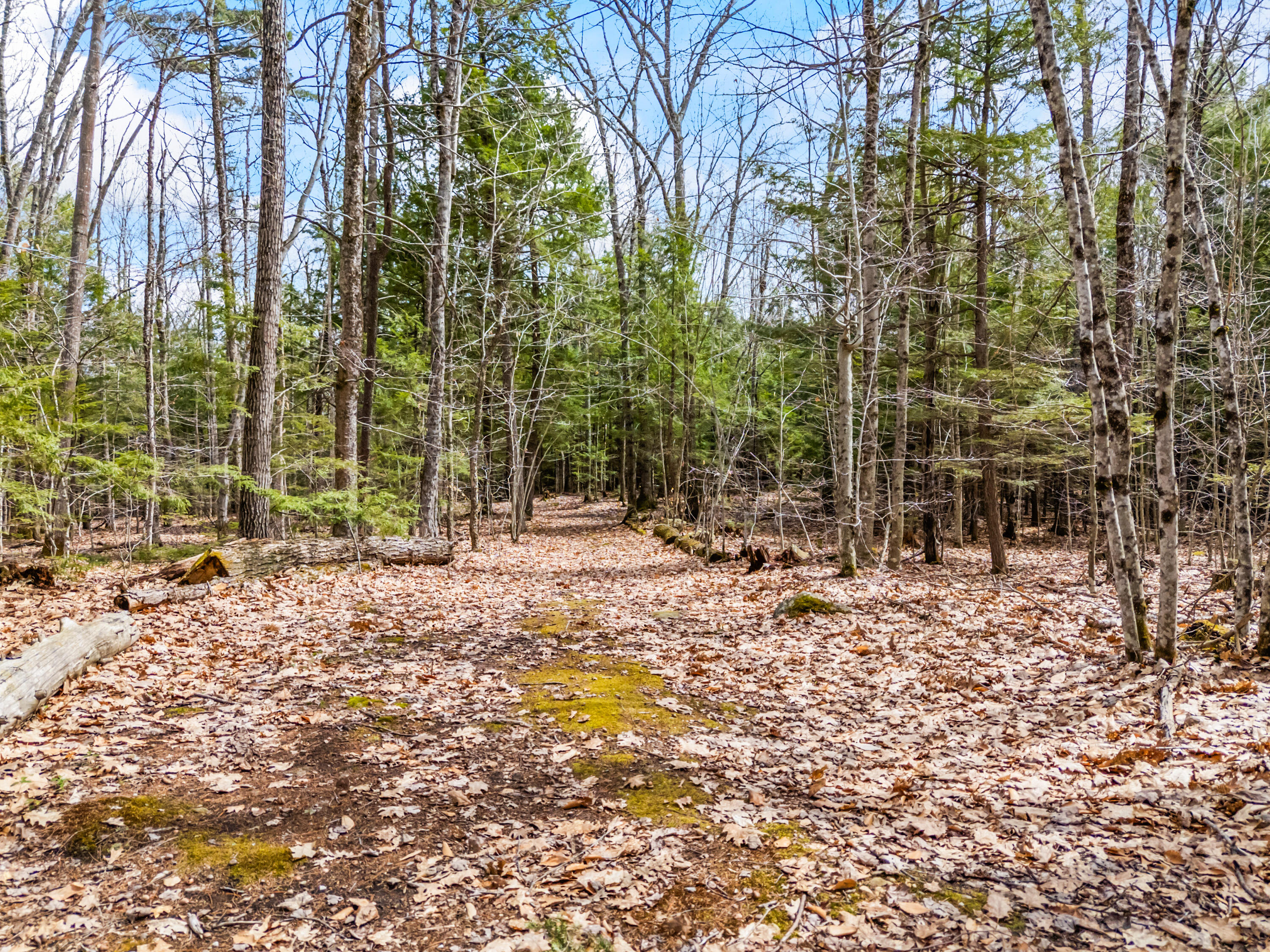 Tbd Brunswick Road Richmond, ME 04357 - Photo 21 of 27 Lot 35-2 Brunswick Road_121