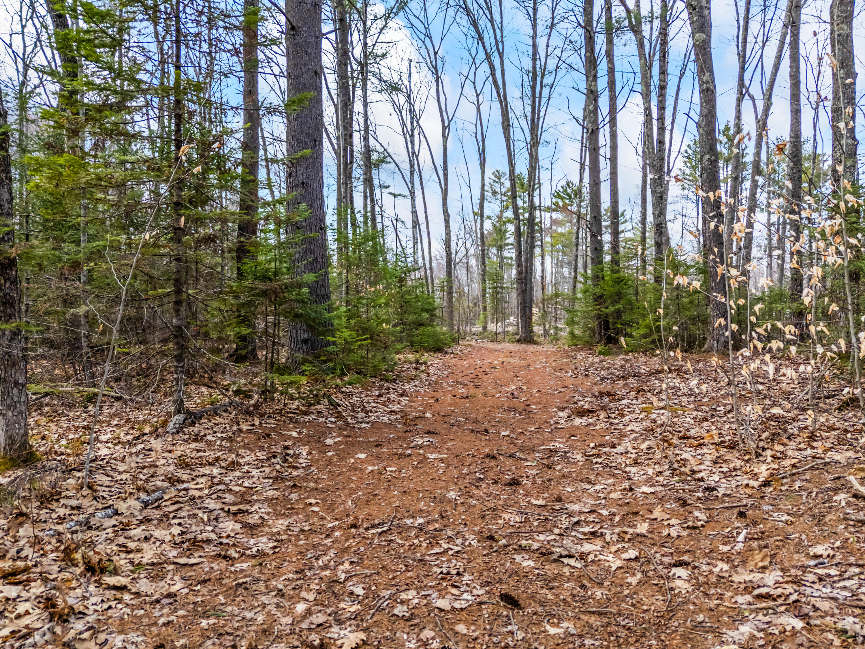 Tbd Brunswick Road Richmond, ME 04357 - Photo 22 of 27 Lot 35-2 Brunswick Road_112