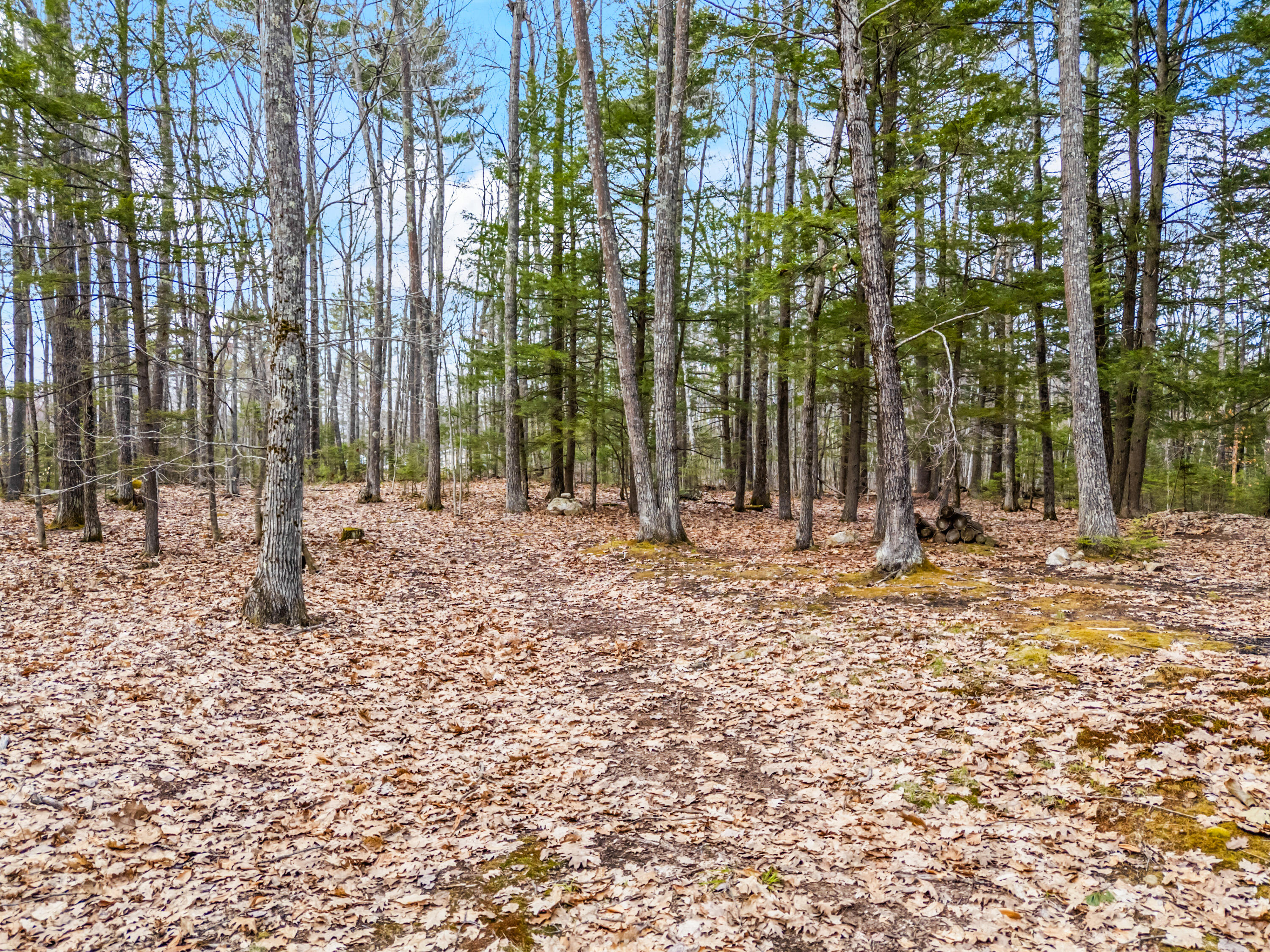 Tbd Brunswick Road Richmond, ME 04357 - Photo 23 of 27 Lot 35-2 Brunswick Road_115