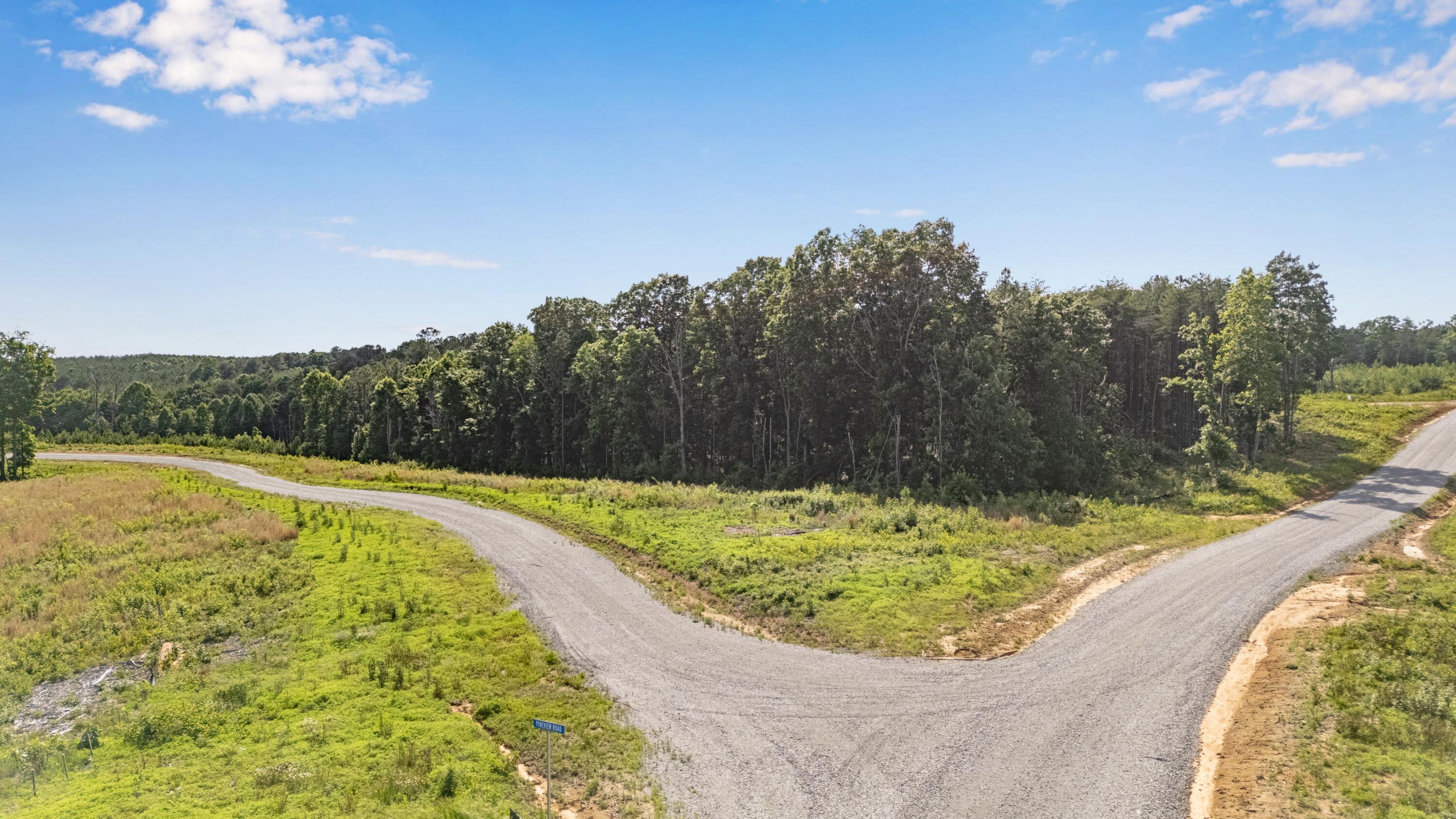 0 Saddleback Road, Unit 48 Dunlap, TN 37327 - Photo 9 of 21 DJI_20260602172041_0203_D-HDR
