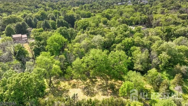 a view of a lush green forest with houses