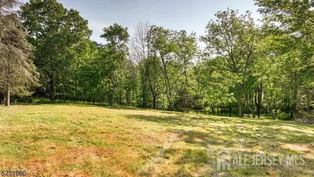 an aerial view of a house with a yard and lake view