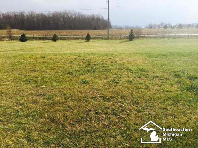20950 Ida Center Road Deerfield, MI 49238 - Photo 20 of 25 20456559-19.JPG