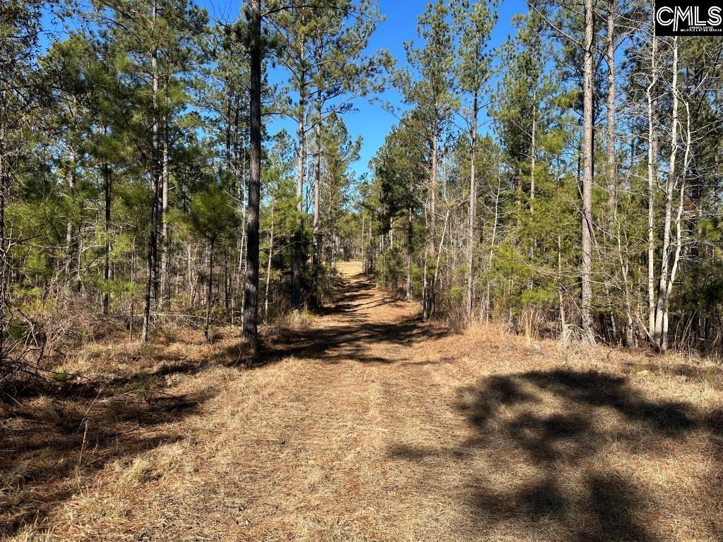River Road Winnsboro, SC 29180 - Photo 15 of 20