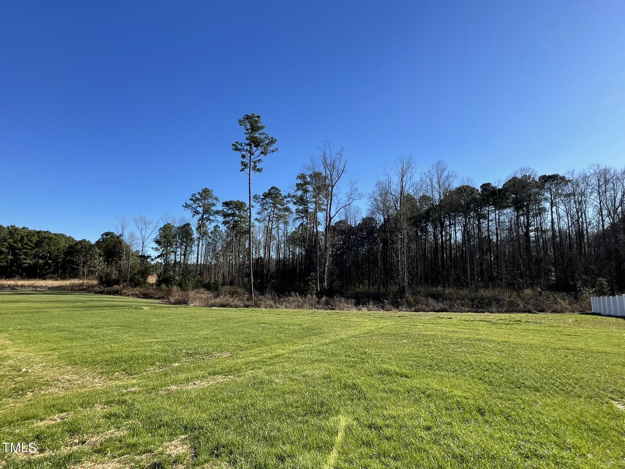 42 Heatherglenn Circle Princeton, NC 27569 - Photo 14 of 15 a view of a basketball court