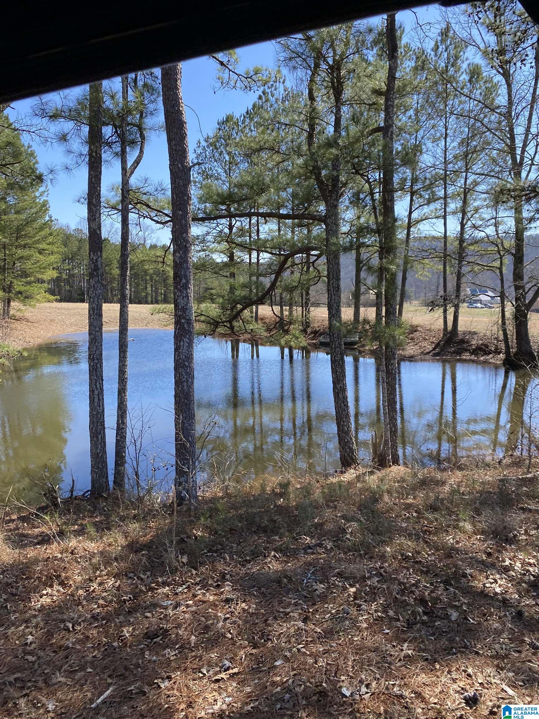 0 Highway 174, Unit 1 Springville, AL 35146 - Photo 5 of 14