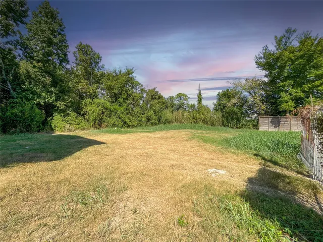 a view of yard with green space