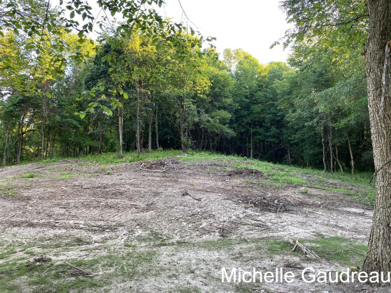 North N Ridge, Unit PARCEL 7 Middleville, MI 49333 - Photo 1 of 4 Gallery Image 1