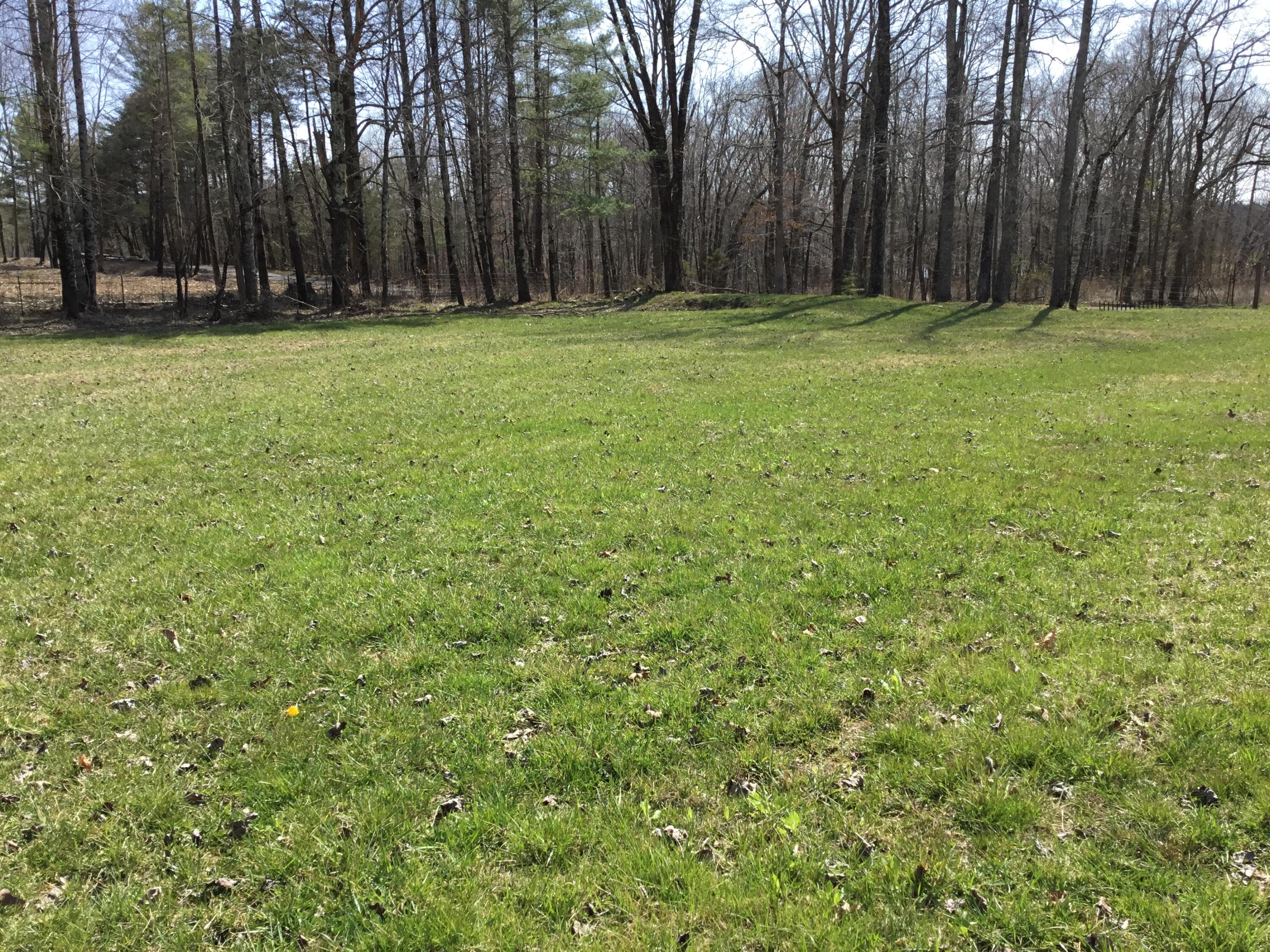 2878 Bench Road Pikeville, TN 37367 - Photo 23 of 26 IMG_5595