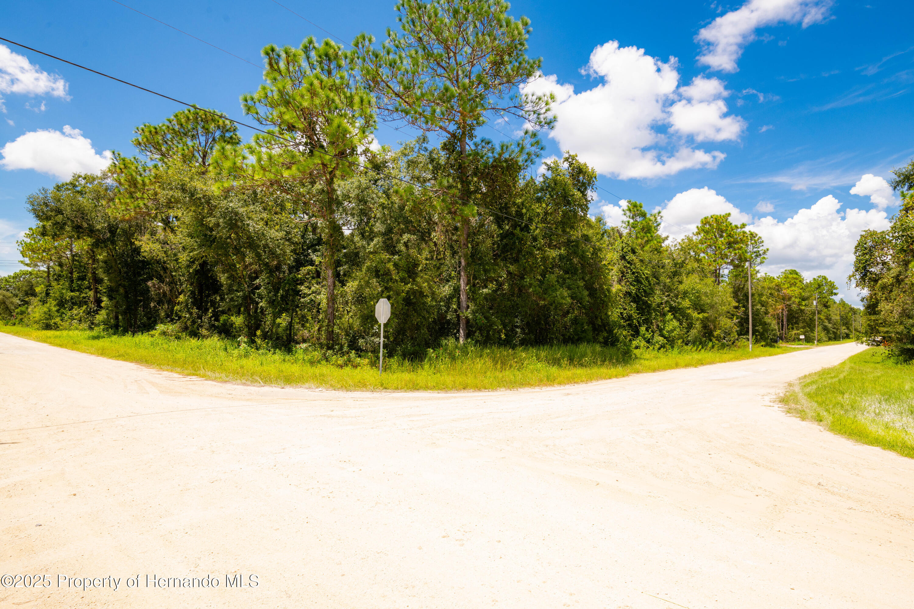 13304 Canada Goose Road Weeki Wachee, FL 34614 - Photo 10 of 13