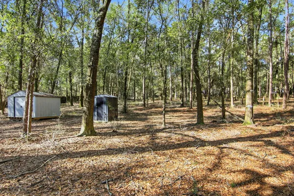 a backyard of a house with lots of green space