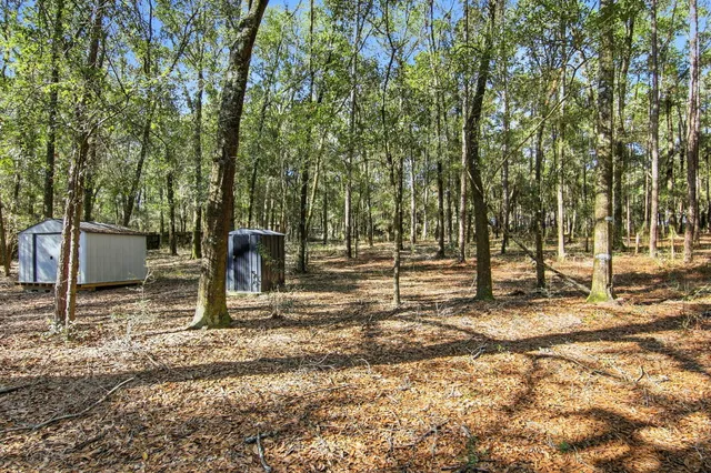 a backyard of a house with lots of green space